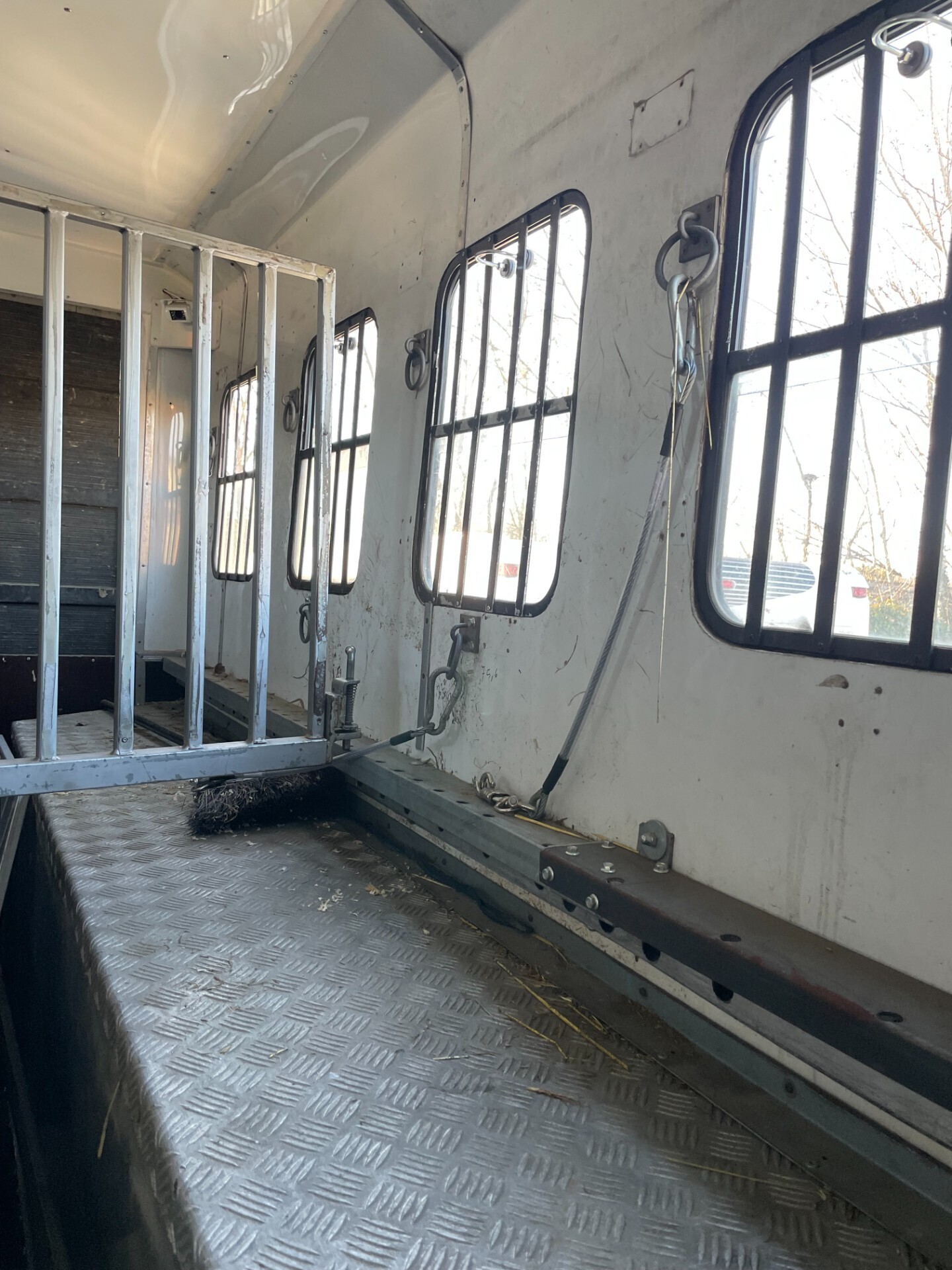Van trasporto cavalli con living eurocargo