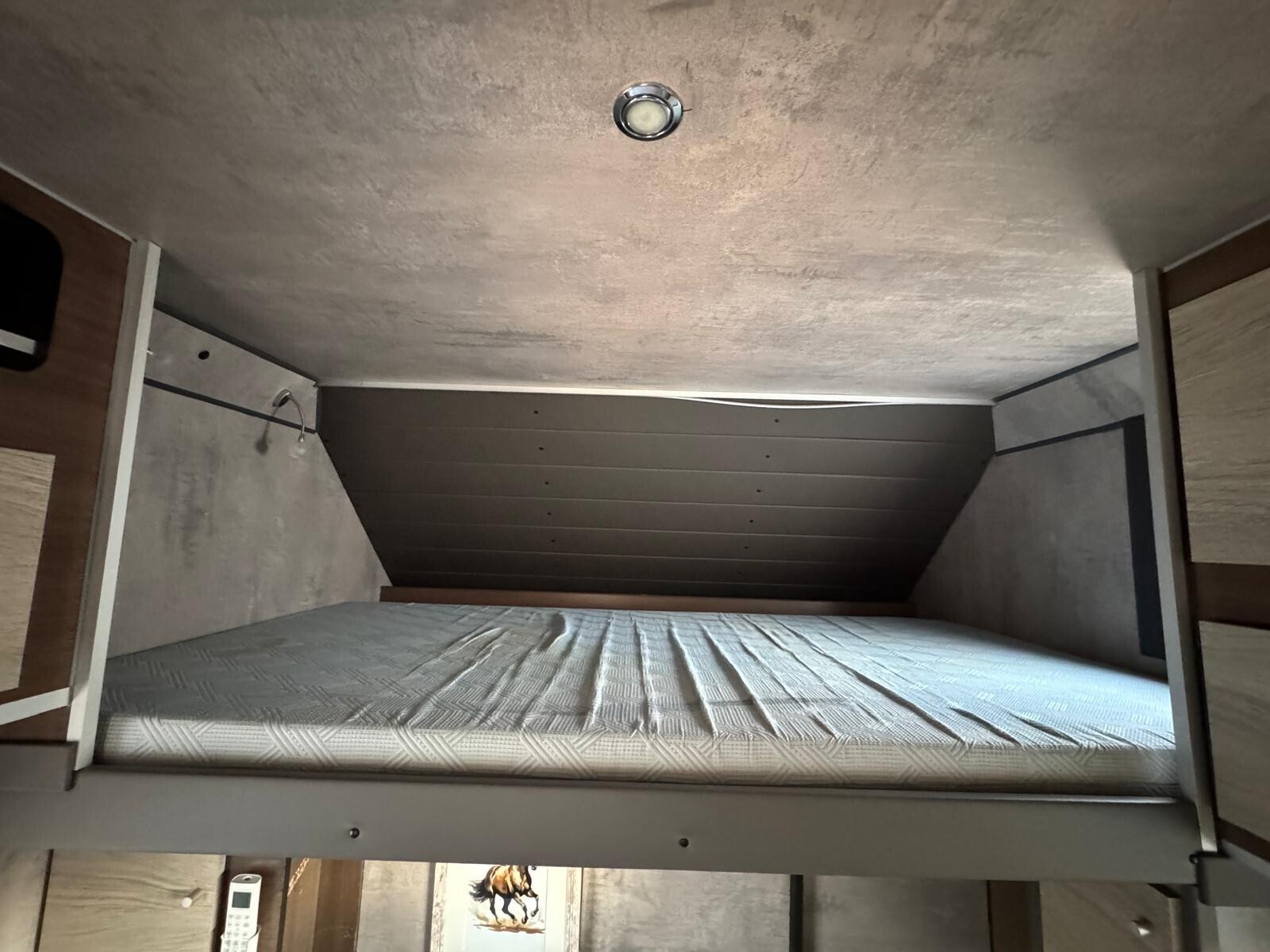 Van trasporto cavalli con living eurocargo