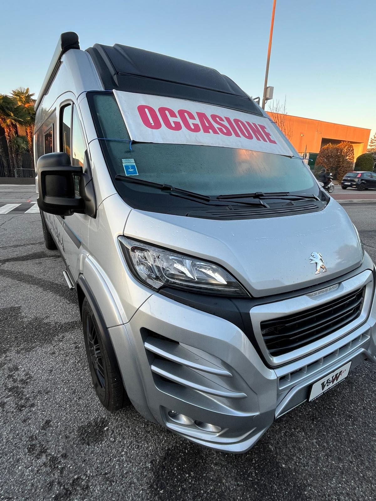 BRAVIA SWAN CAMPER PURO - PREZZO RIBASSATO