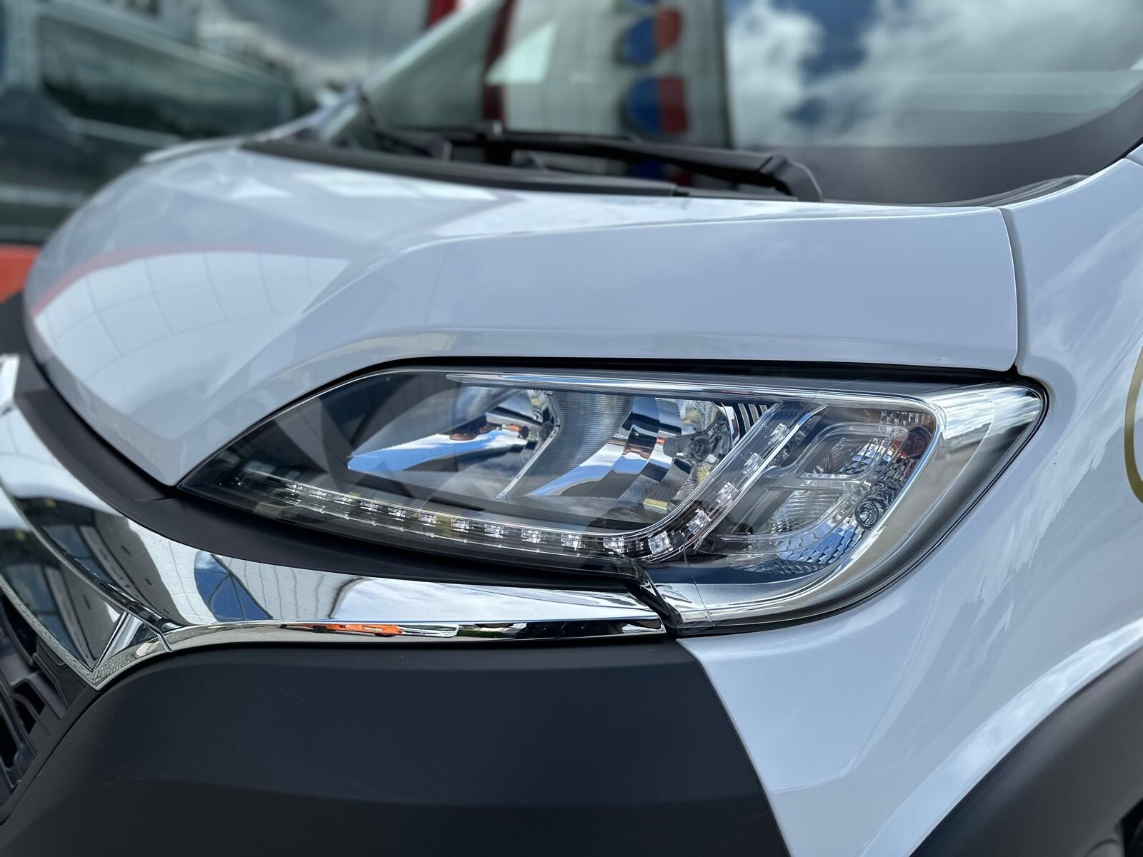 Robeta Kronos 599 - 2023