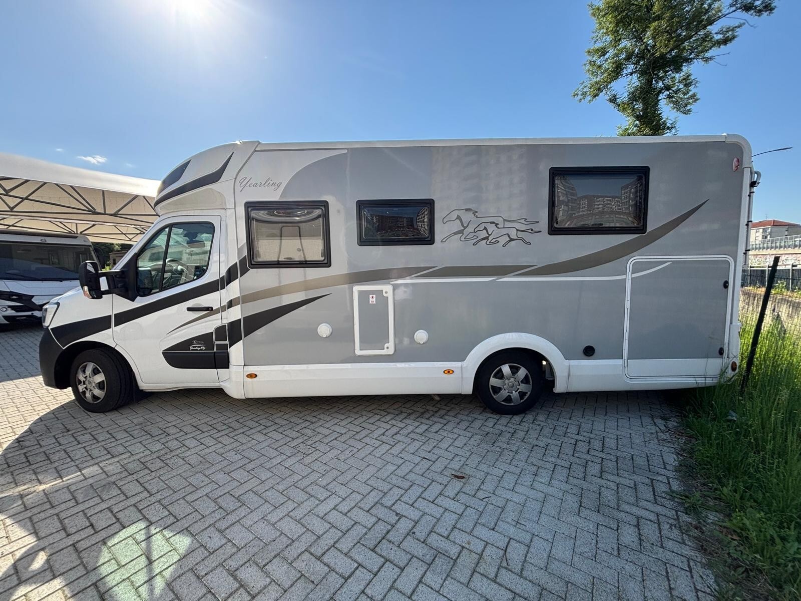 Mclouis Yearling 89g camper