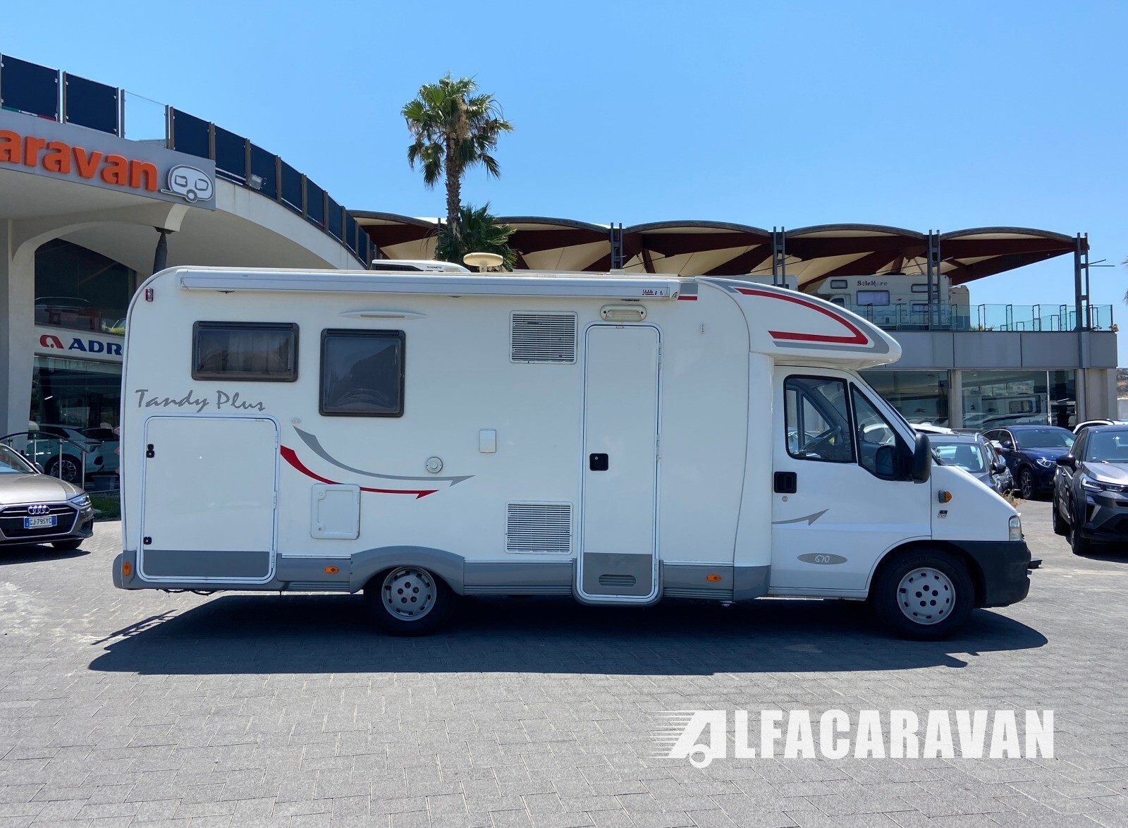 Mclouis Tandy Plus 670g
