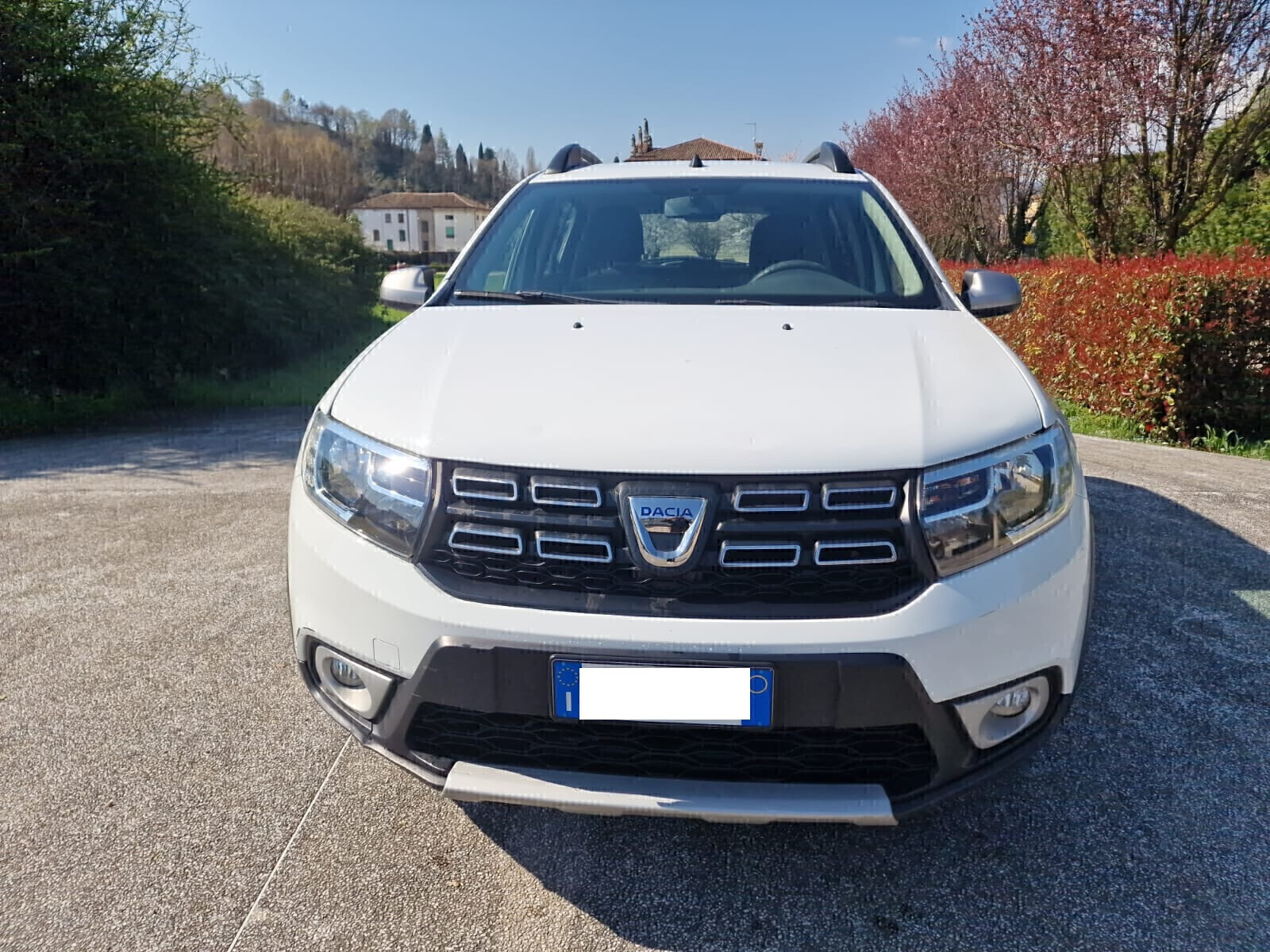Dacia Sandero Stepway 1.5 Blue dCi 95CV 15th Anniversary - dettaglio 2