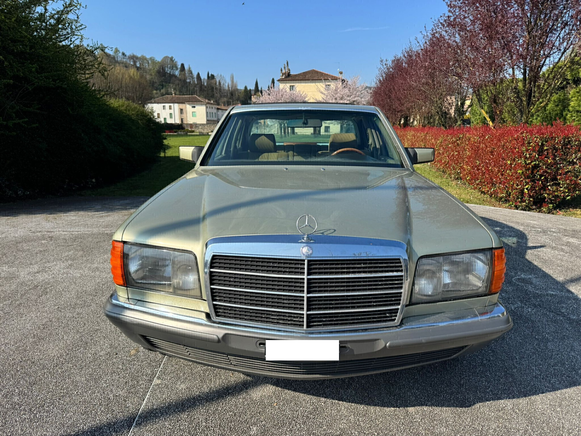 Mercedes-benz S-Series 280 SE - dettaglio 2