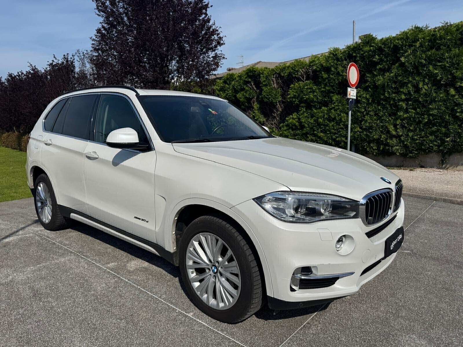 Bmw X5 xDrive30d 249CV Experience - dettaglio 2