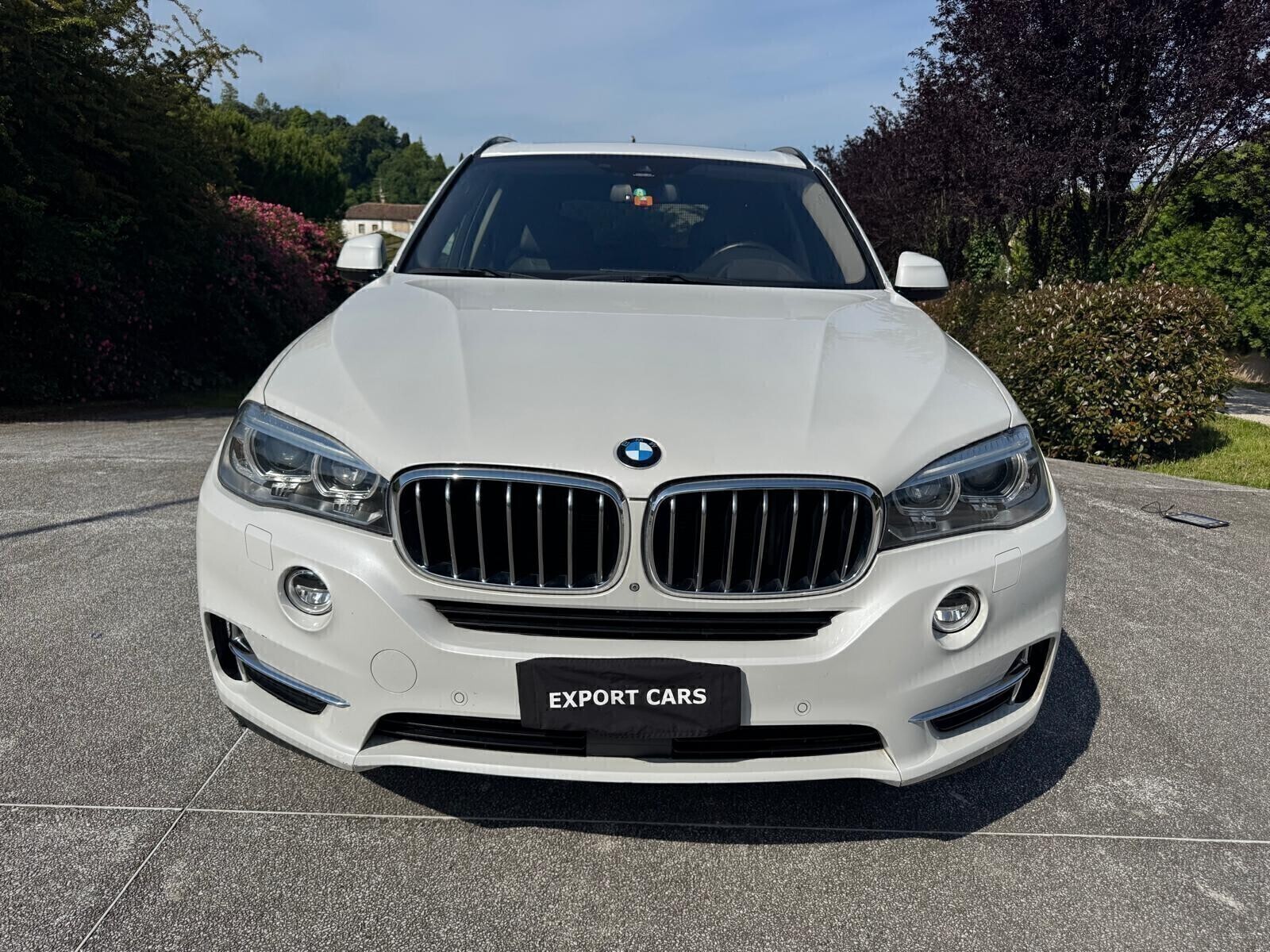 Bmw X5 xDrive30d 249CV Experience - dettaglio 7